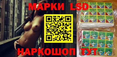 стафф Моздок