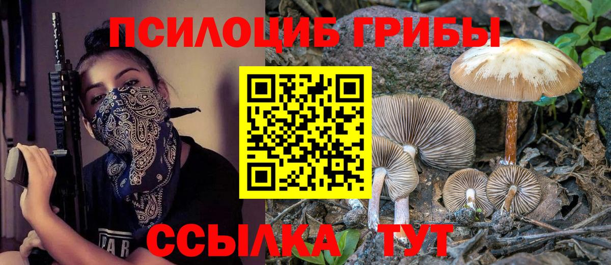 Псилоцибиновые грибы Cubensis Юрга