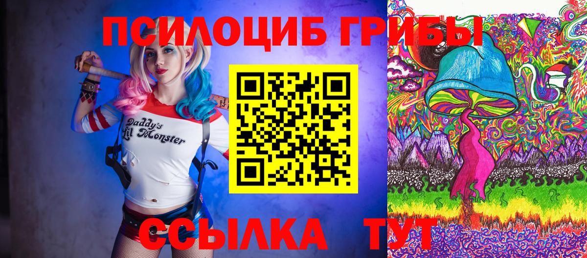Юрга  Галлюциногенные грибы Magic Shrooms  Галлюциногенные грибы Psilocybine cubensis  Вход с VPN 